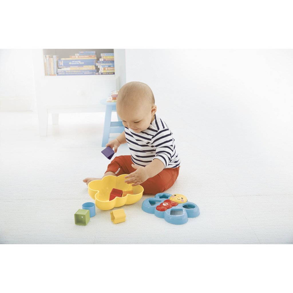 Fisher Price Vlinder Vormensorteerder + 6 Blokjes