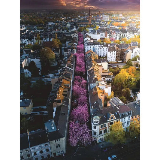 Ravensburger Puzzel Bonn In Bloom 1500 Stukjes