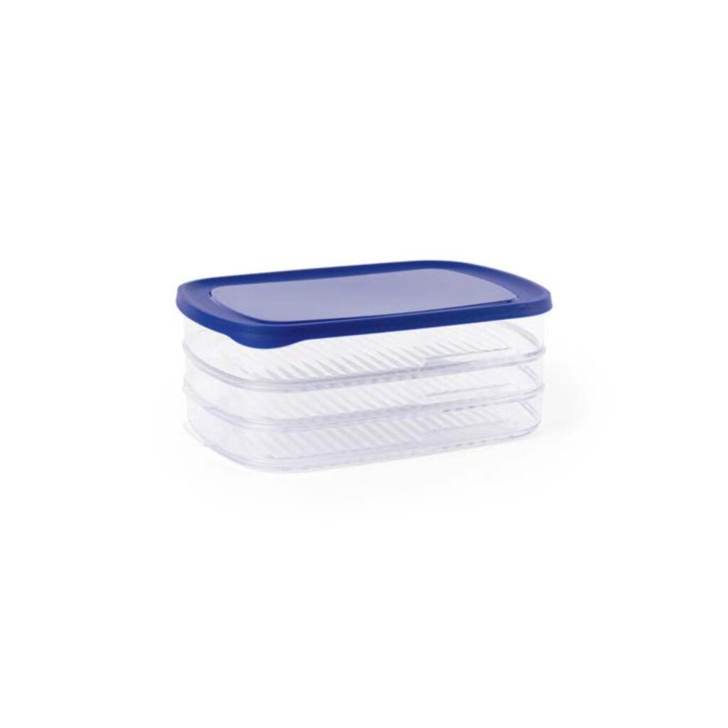 Day To Day Bewaardoos Vleeswaren 3-Laags Blauw/Transparant