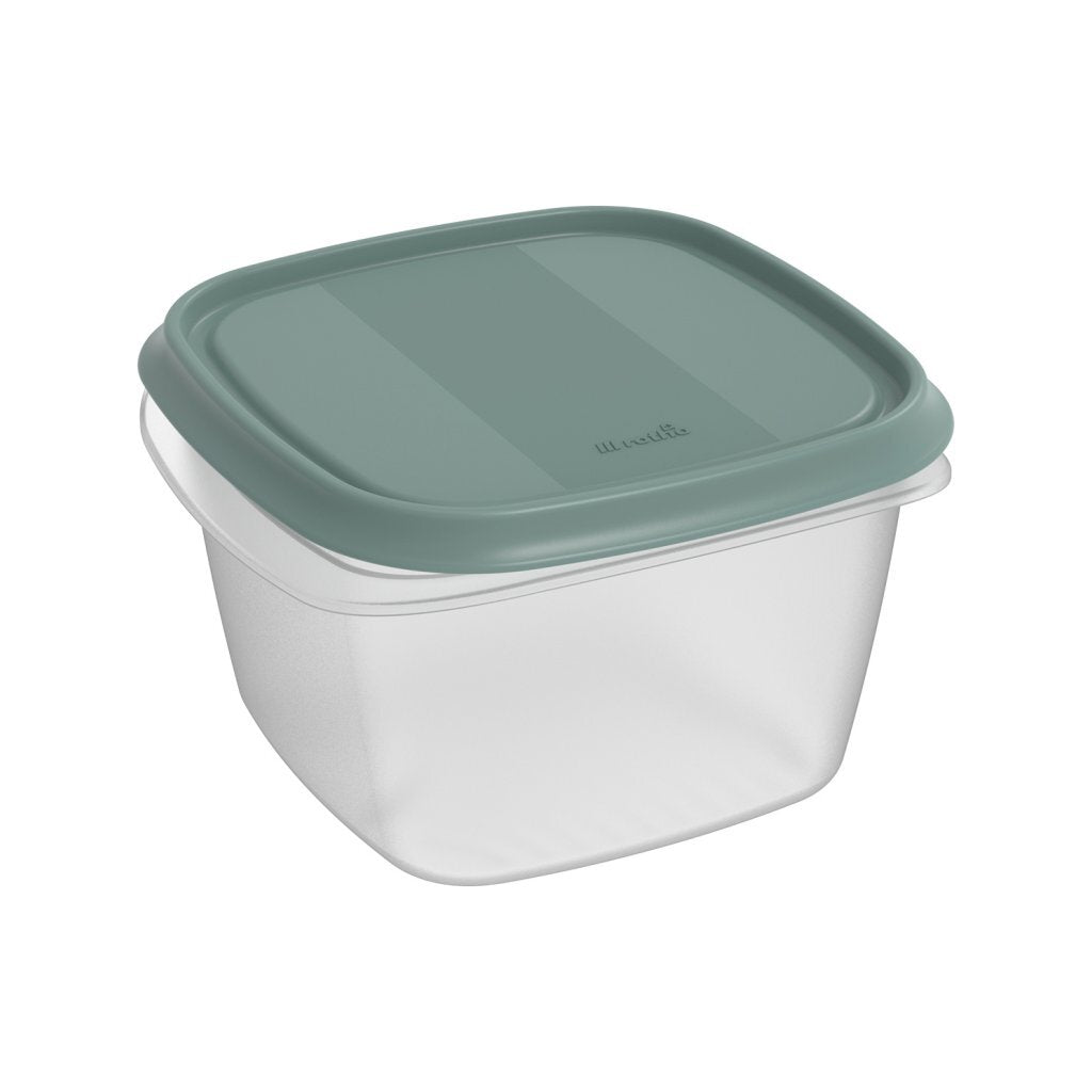 Rotho Elements Koelkast Bewaardoos 16X16X10 Cm 1.3L Mistletoe Groen/Transparant