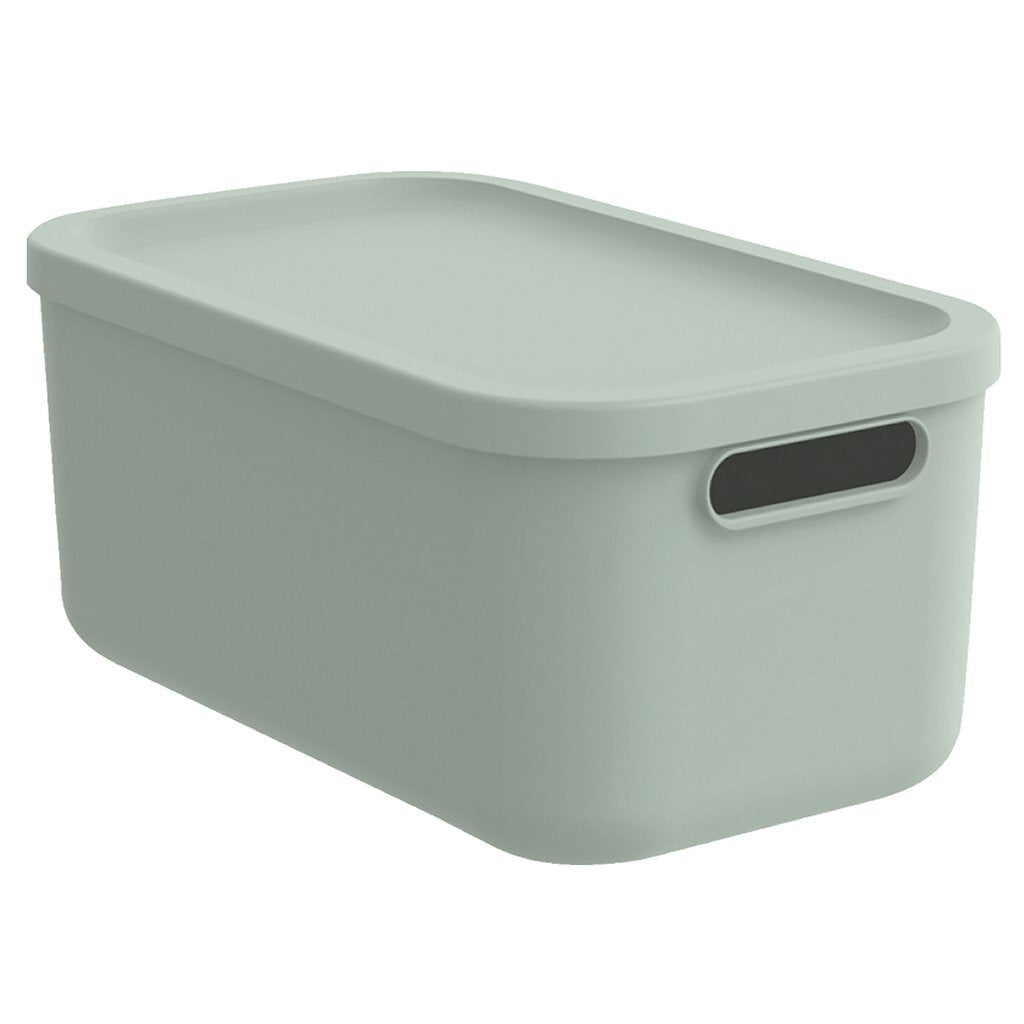 Rotho Kayo Multi Box 39.5&Times;23.5&Times;17.7 Cm 12L Sage Green
