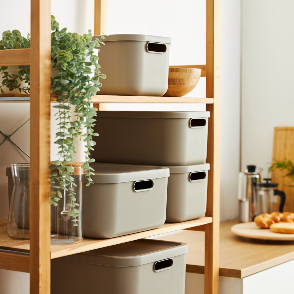 Rotho Albula Multibox 55L Cappuccino