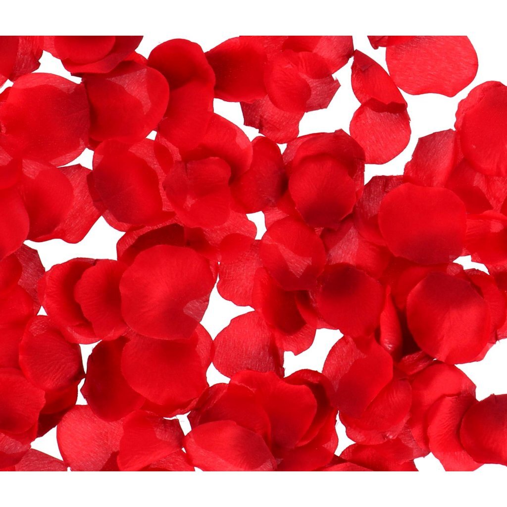 Overige Merken Rozenblaadjes In Giftbox Hart Rood/Transparant