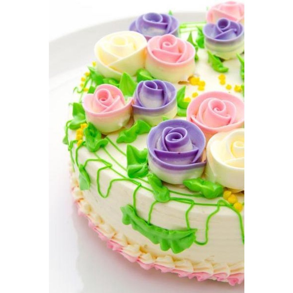 Patisse Garneerspuit 19 Cm Transparant/Wit