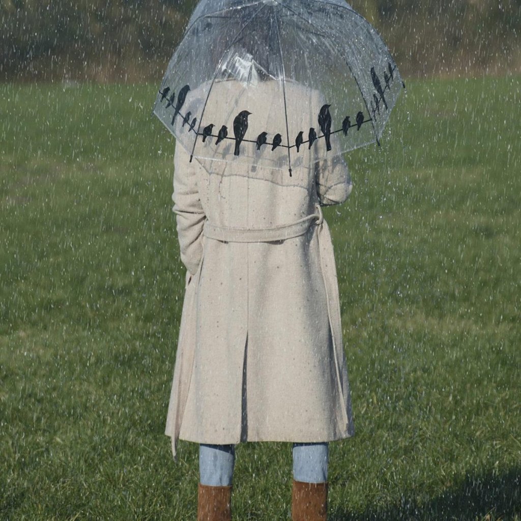 Esschert Design Paraplu Vogels Op Draad 83 Cm Transparant/Zwart