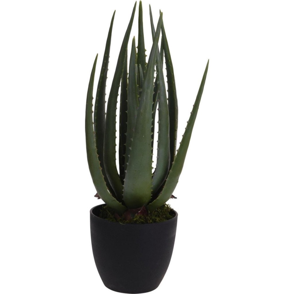 Overige Merken Kunstplant Aloë Vera 25X45 Cm Groen