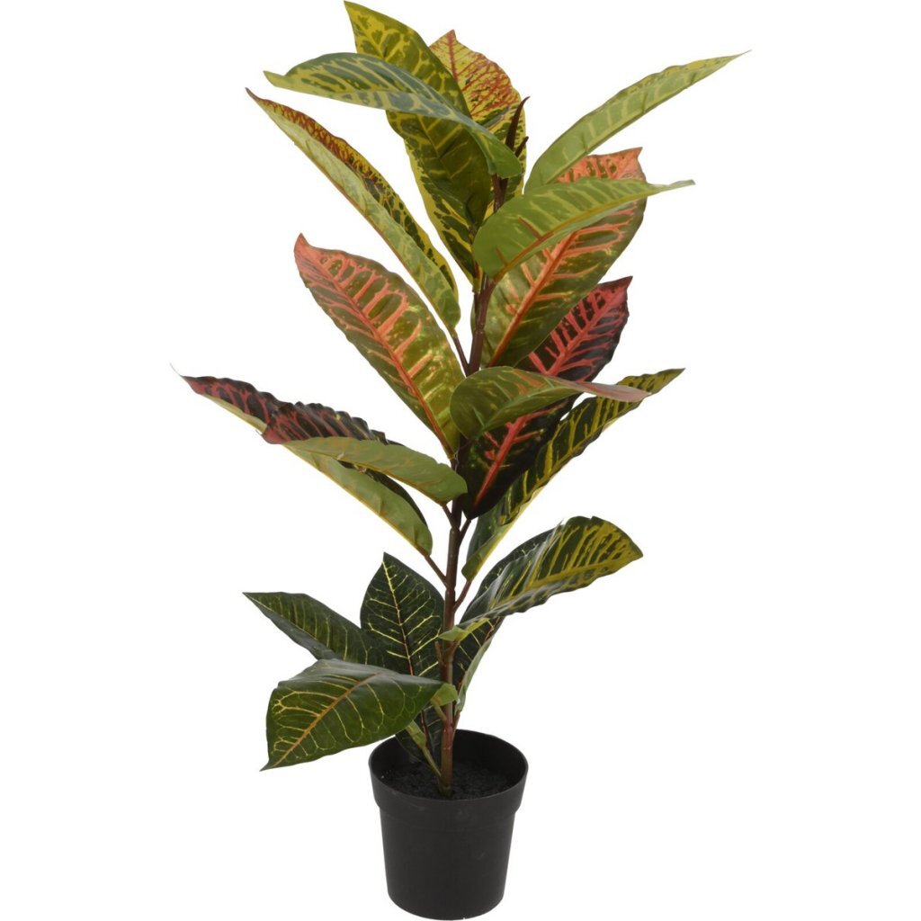 Overige Merken Kunstplant Calathea 40X65 Cm Groen/Roze
