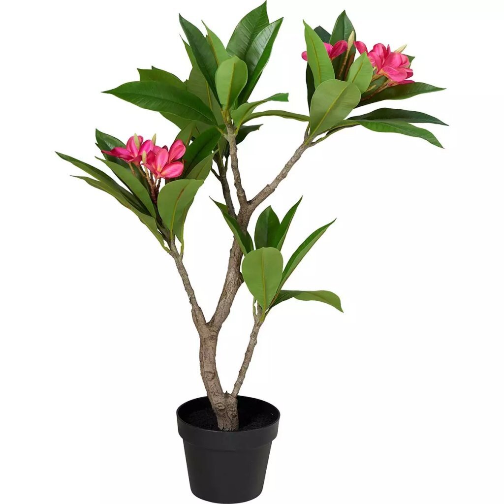 Overige Merken Kunstplant Plumeria 50X90 Cm Roze/Groen