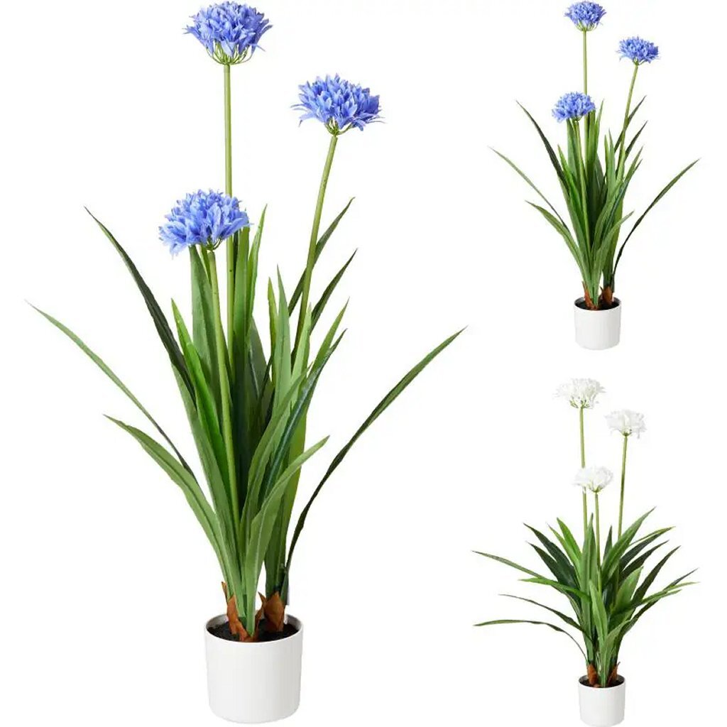 Overige Merken Kunstplant Agapanthus 70X120 Cm Blauw/Wit