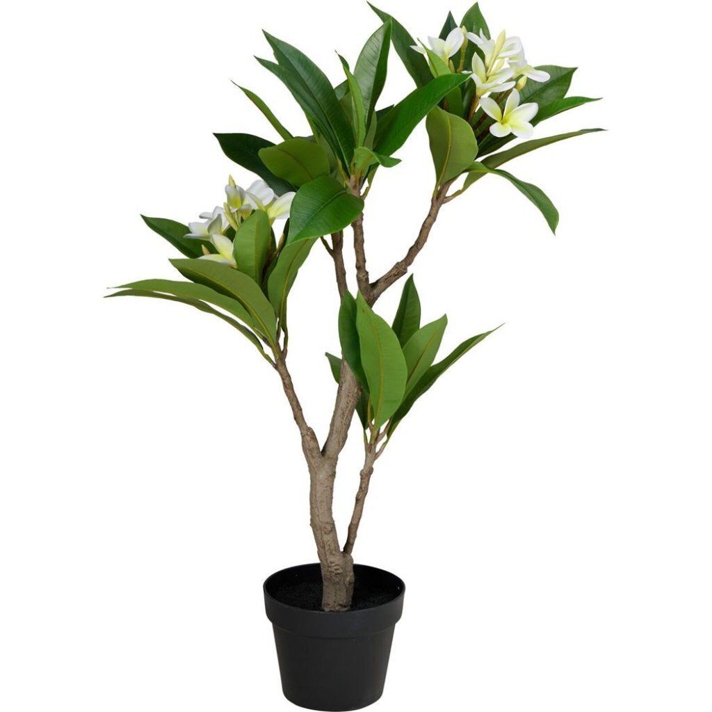 Overige Merken Kunstplant Plumeria 50X90 Cm Wit/Groen