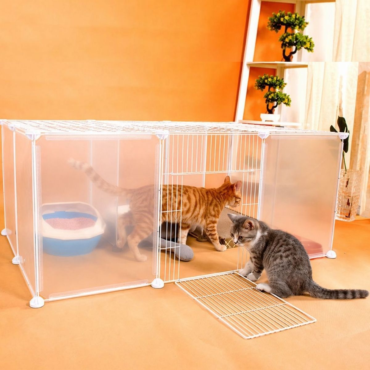 Ceruzo Dierenren - Modulair - 12 Panelen 35X45 Cm
