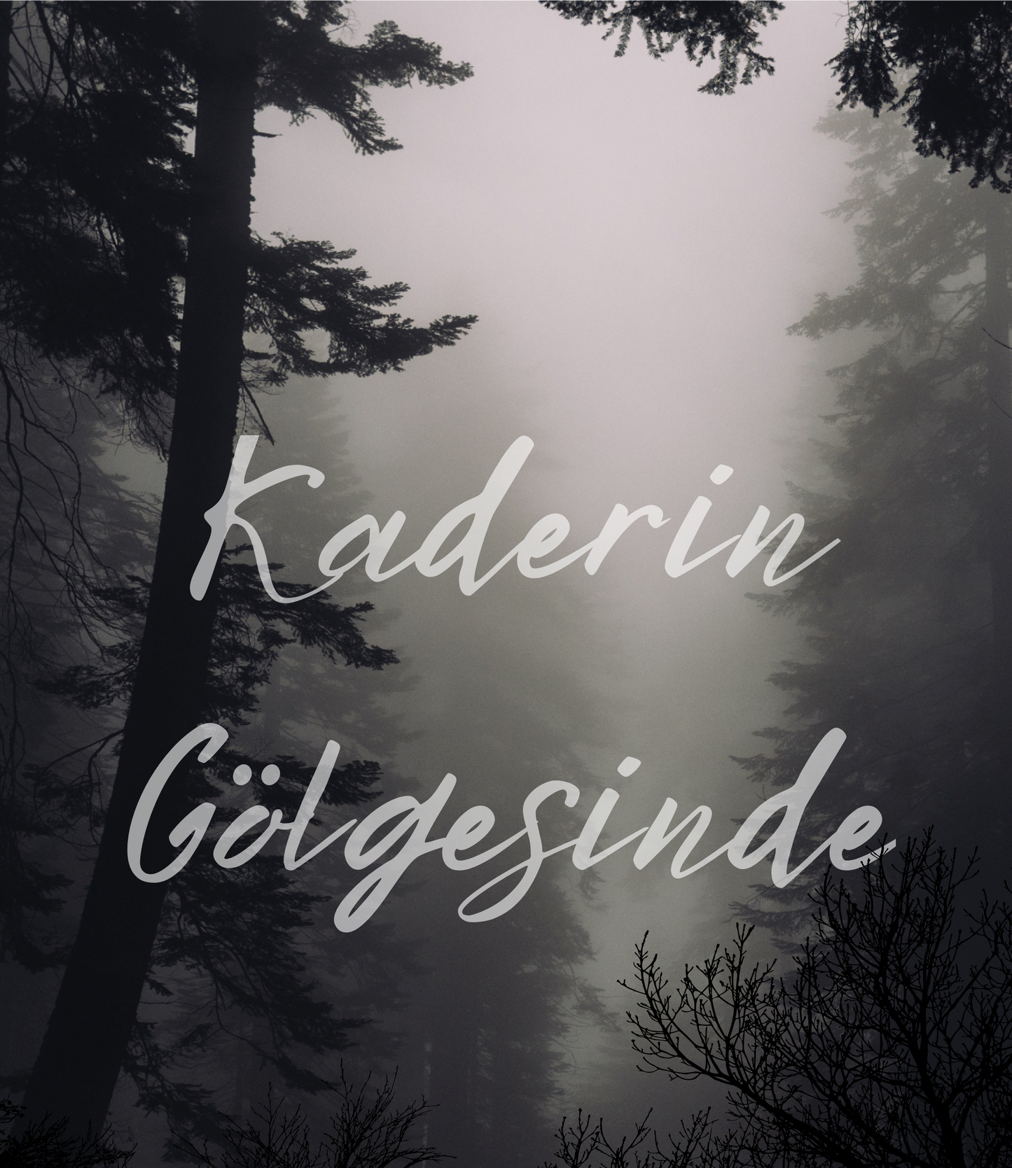 E Book Kaderin Gölgesinde