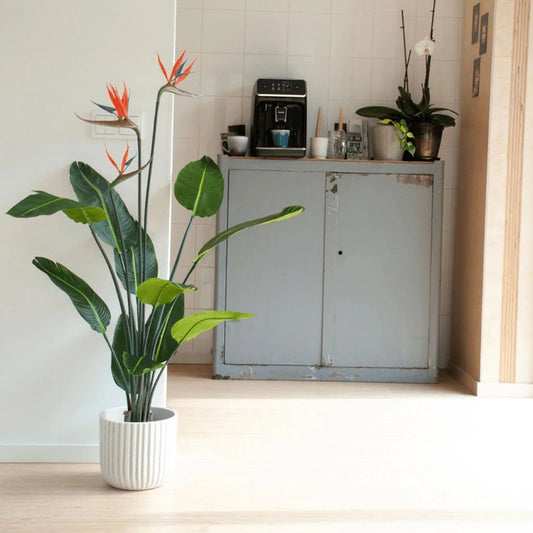 Strelitzia With Flowers – 120 Cm – In Black Pot – Artificial Plant
