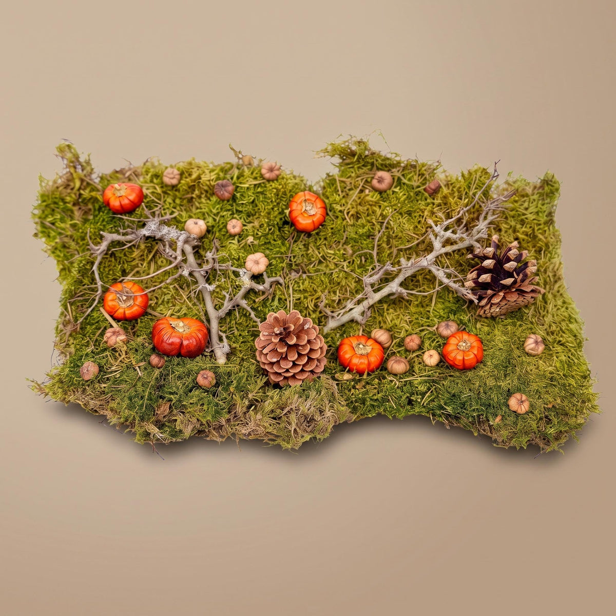 Autumn Deco Kit - Dried Pumpkins, Flat Moss, Bonsai Wood, Cones