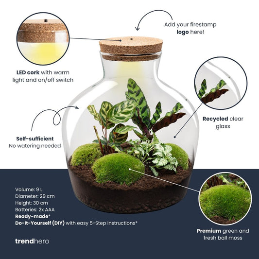 Terrarium Fat Joe - Ø 29 Cm ↑ 30 Cm - Relatiegeschenk