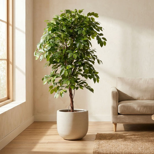 Ficus Deluxe Vine Tree 140 Cm - Artificial Plant