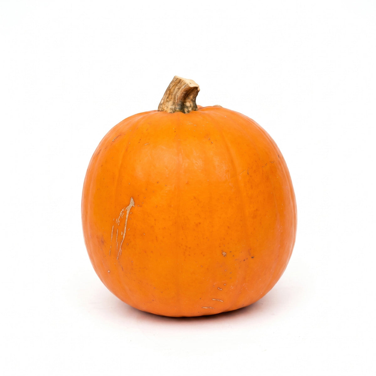 Halloween Pumpkin - Orange - Real - Ø Approx. 16 Cm - Approx. 1,4 Kg