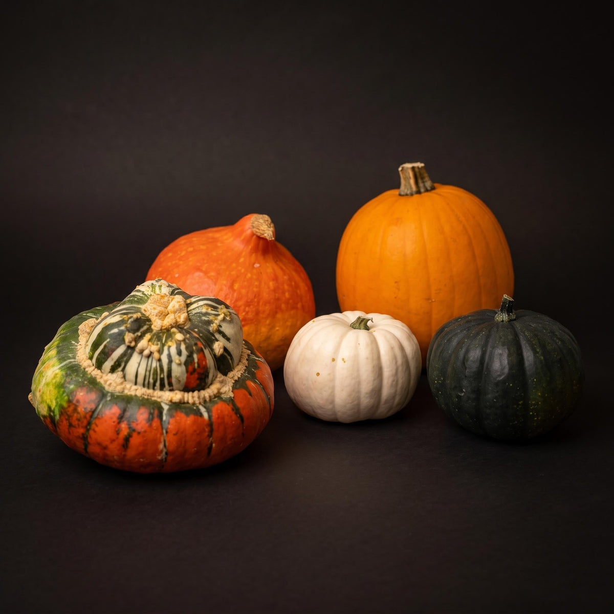 Pumpkin Set Xl - Real - 5 Pcs - Turk's Turban, Hokkaido & More