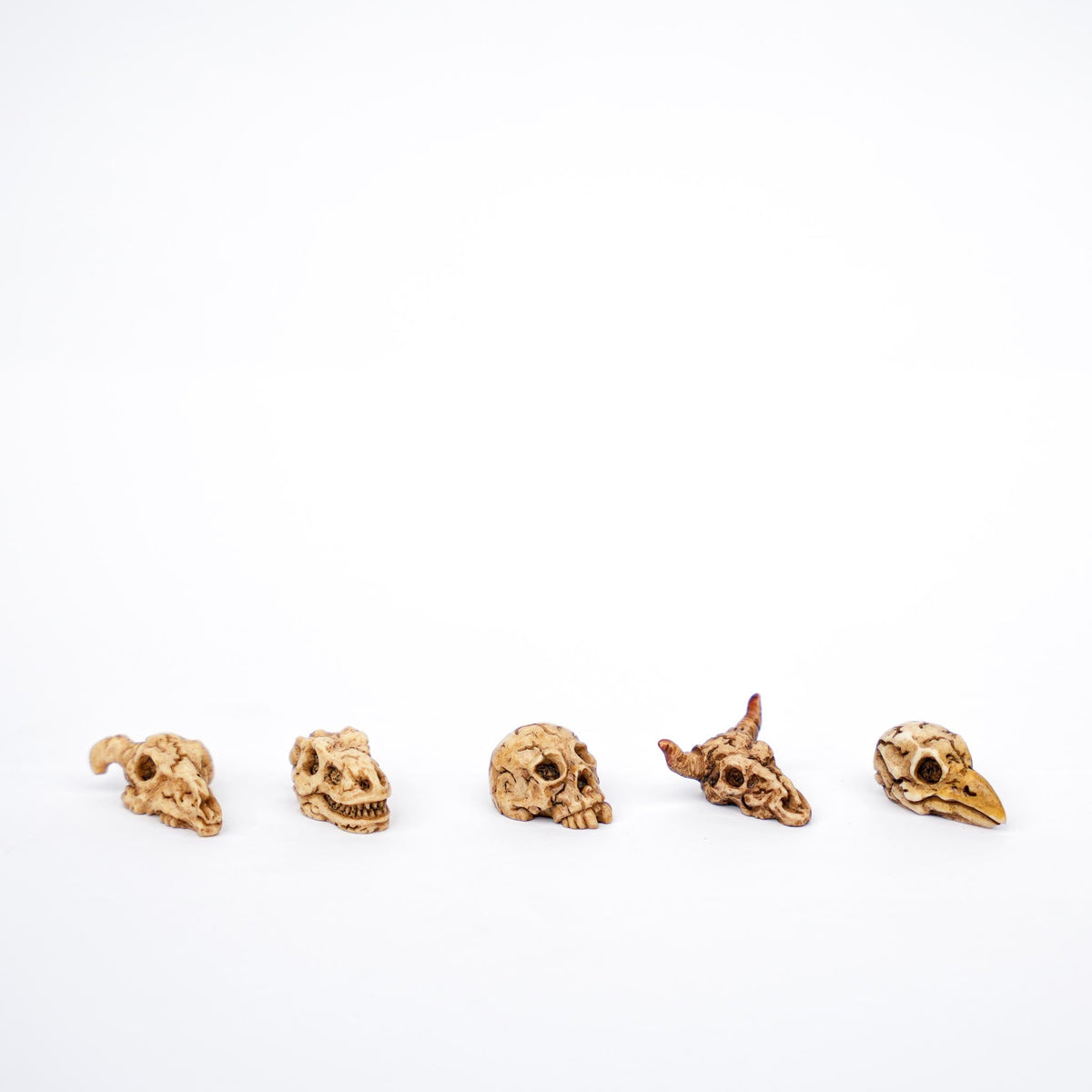 Mini Skull Set - 5 Pcs - Miniature Figurines ↔ 2 Cm ↑ 1 Cm