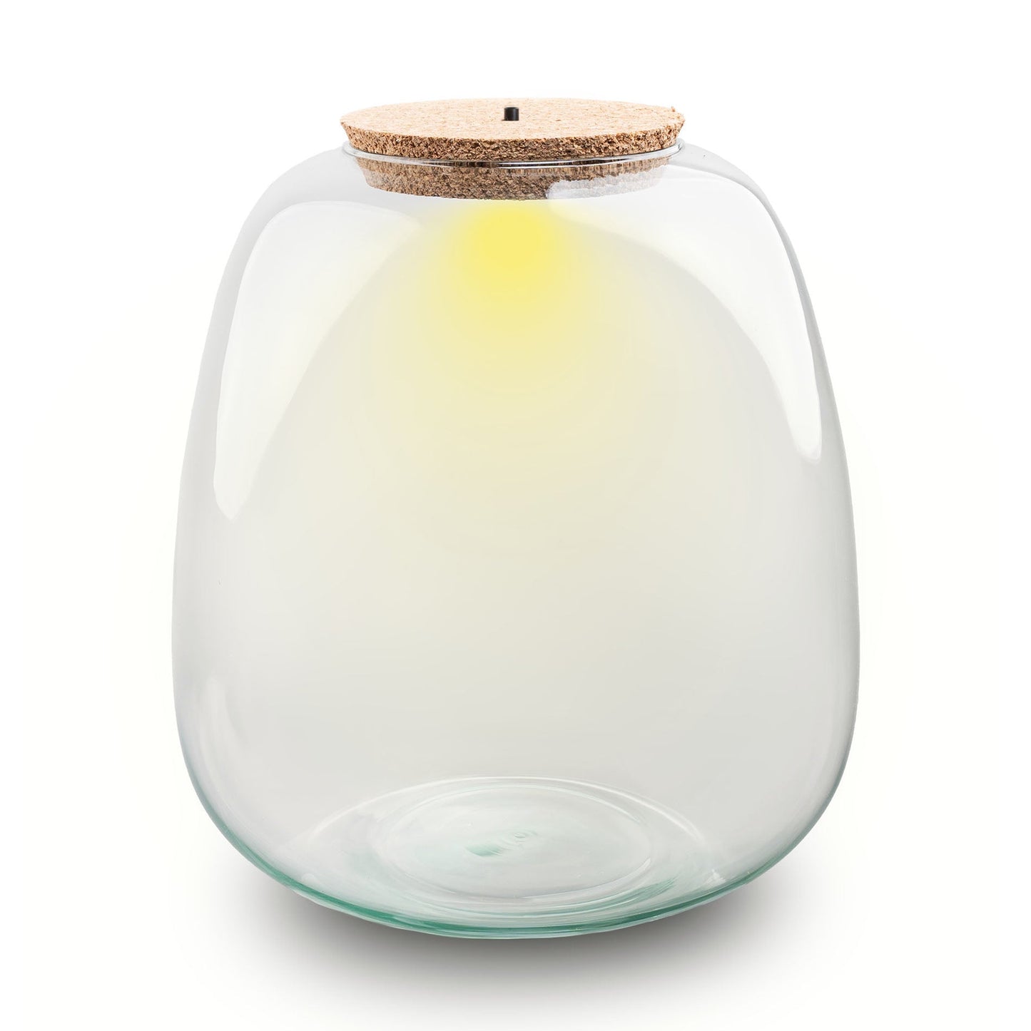Terrarium Bottle With Cork - Model: Emma + Led Cork - ↑ 25 Cm - Ø 23 Cm