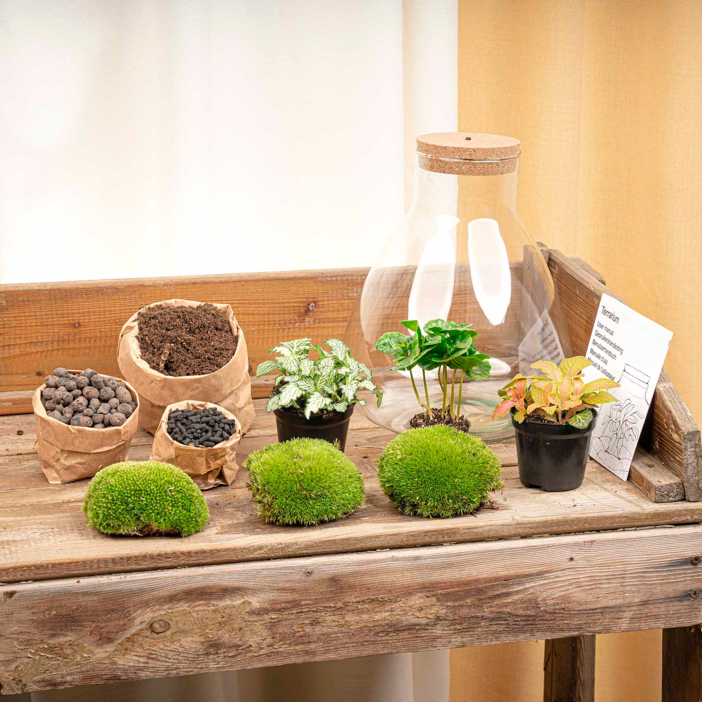 Terrarium Sam - Ø 24,5 Cm ↑ 30 Cm - Relatiegeschenk