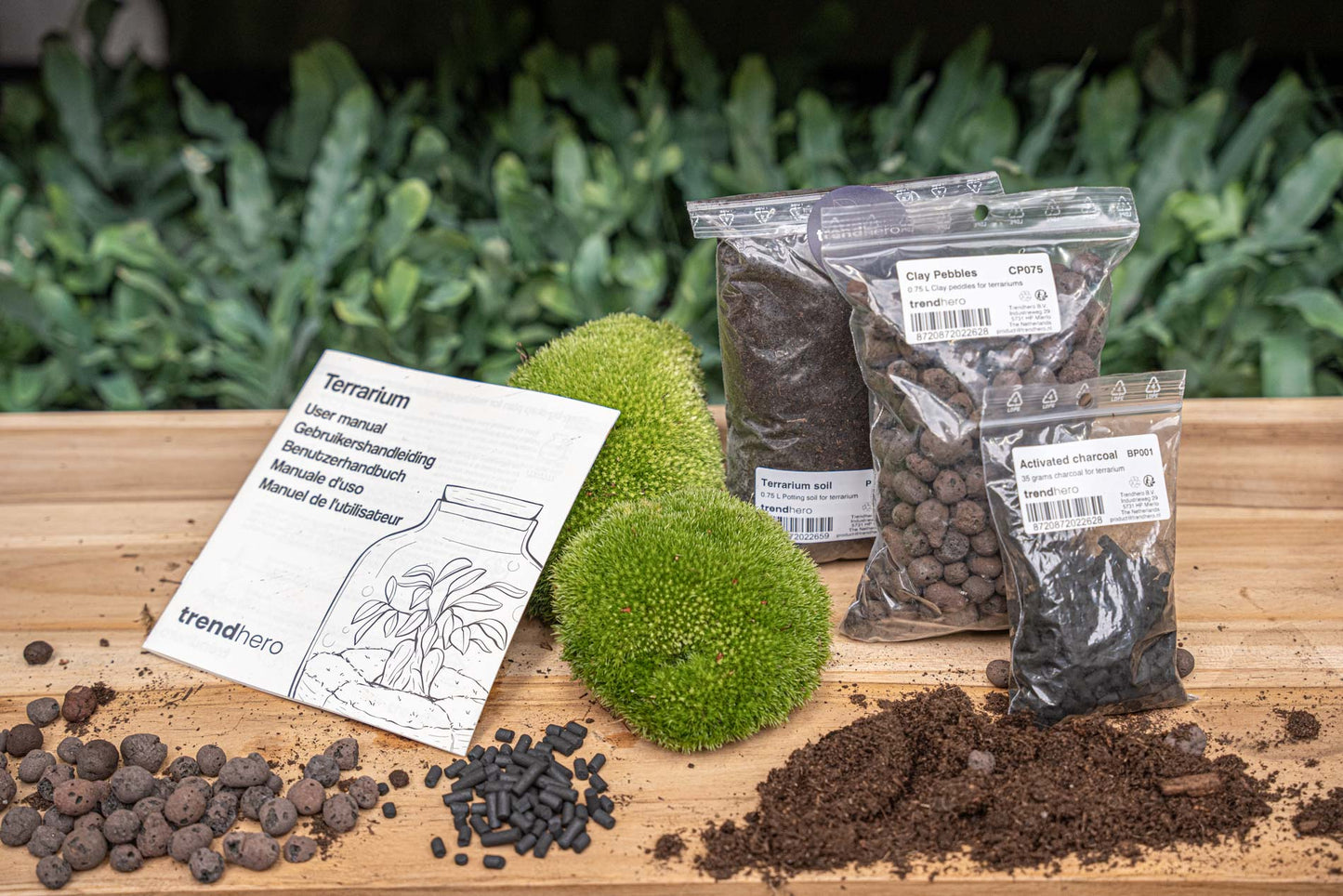 Terrarium Package – Refill & Starter Package – Diy Terrarium Kit – Size S/M