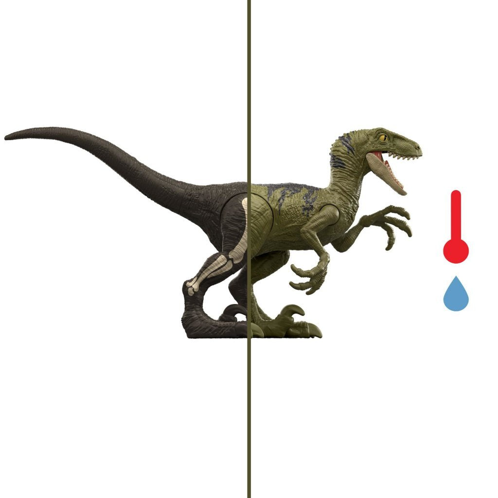 Mattel Jurassic World Dino Reveal Assorti