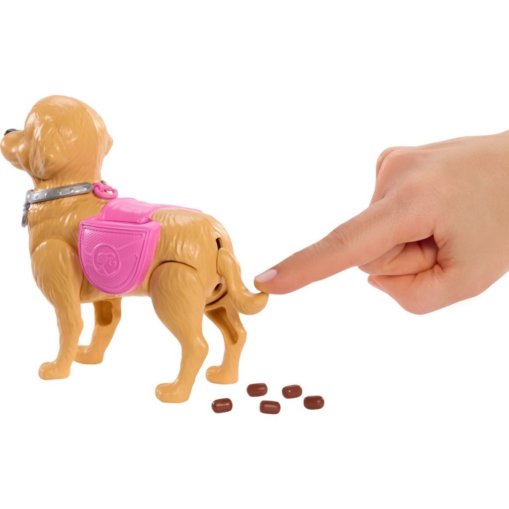 Barbie Family &Amp; Friends Walk &Amp; Potty