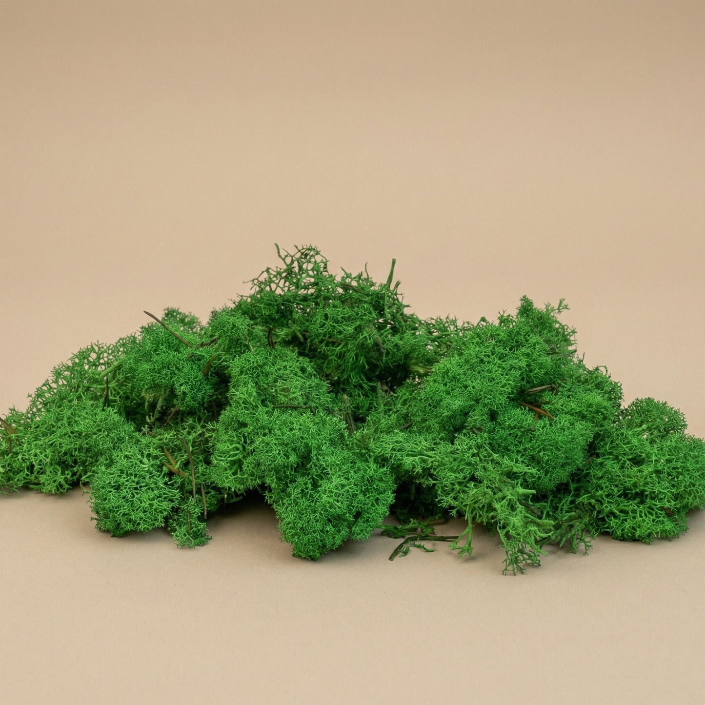 Decorative Reindeer Moss - Green - 1 Bag - 50G