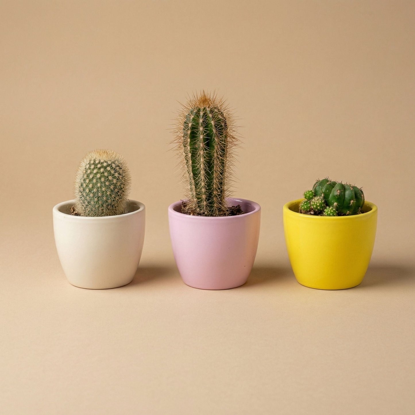 Lemon - Mini Plant Pot - Boule Pot Yellow - Ø 6 Cm ↑ 6 Cm