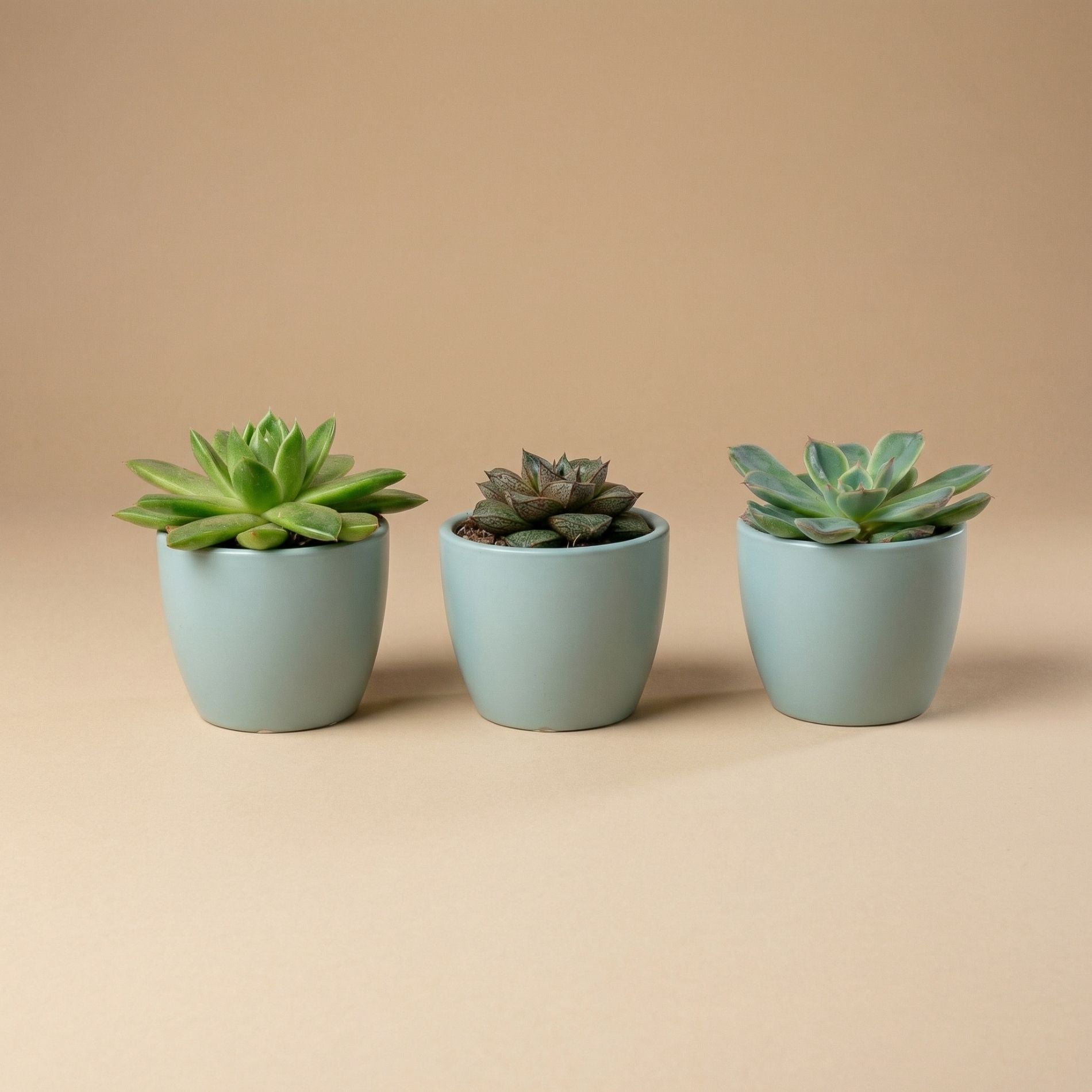 Urban Green Matte - Mini Plant Pot - Boule Pot Blue - Ø 6 Cm ↑ 6 Cm