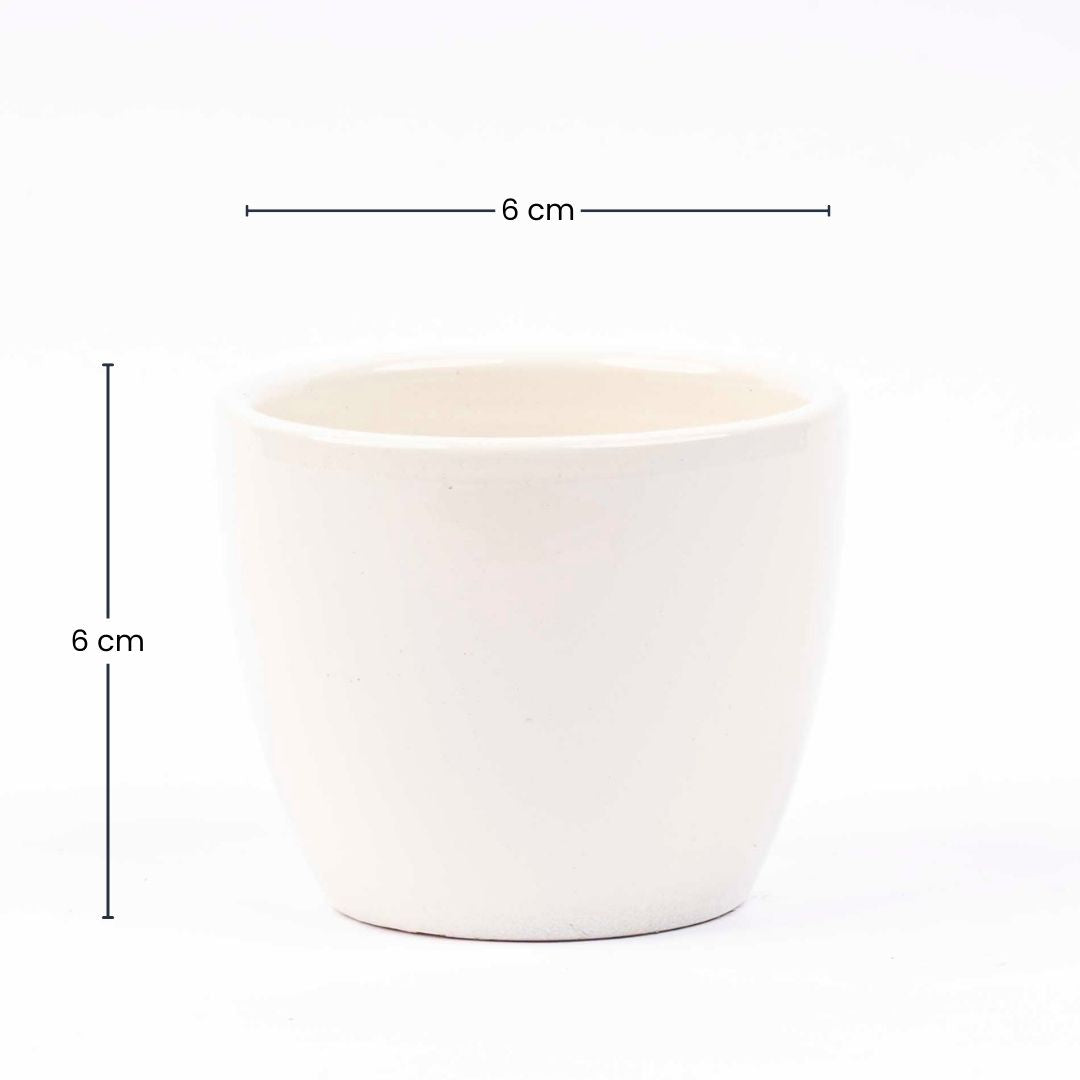 Panna Gloss - Plant Pot - Boule Pot White - Ø 9 Cm ↑ 9 Cm