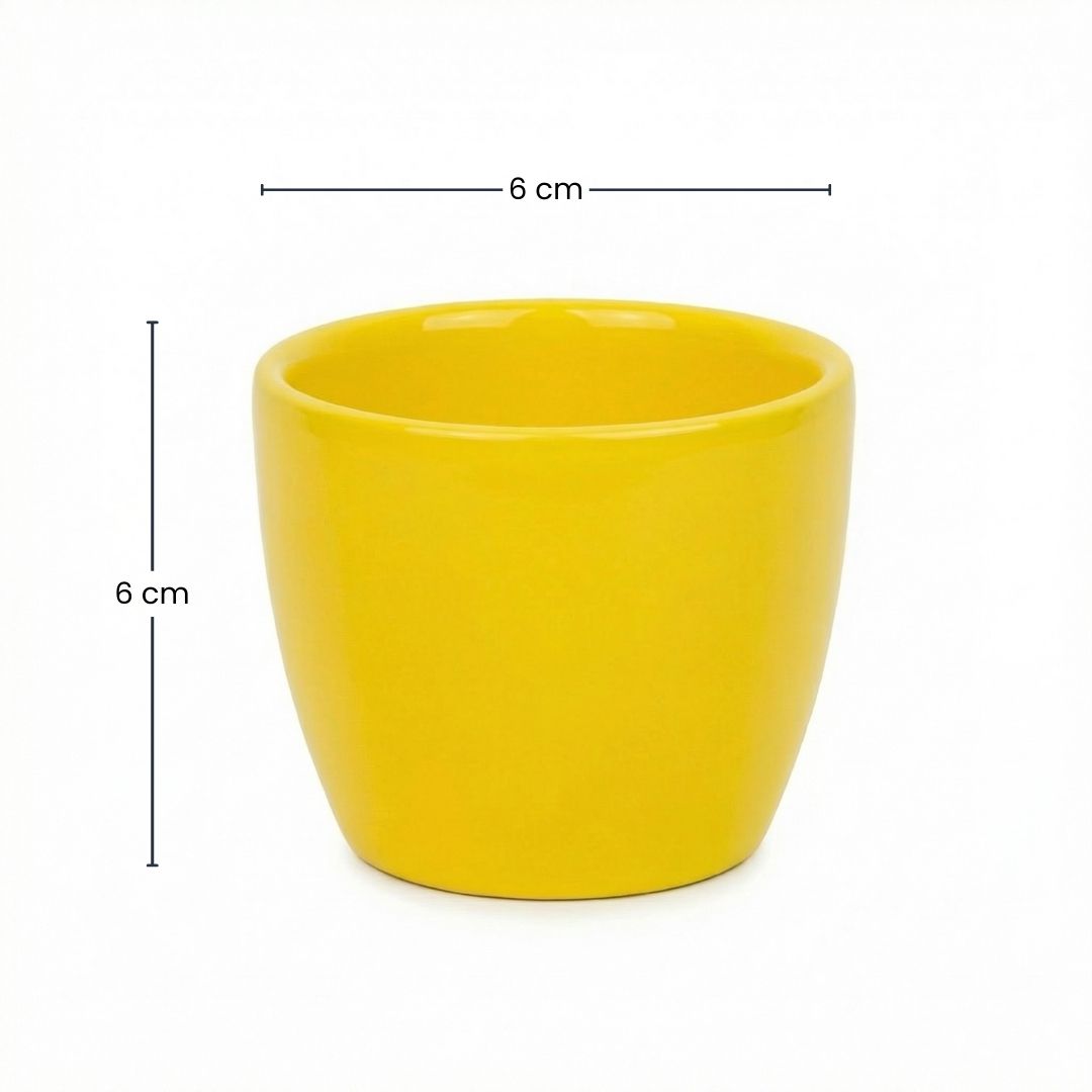 Lemon - Mini Plant Pot - Boule Pot Yellow - Ø 6 Cm ↑ 6 Cm