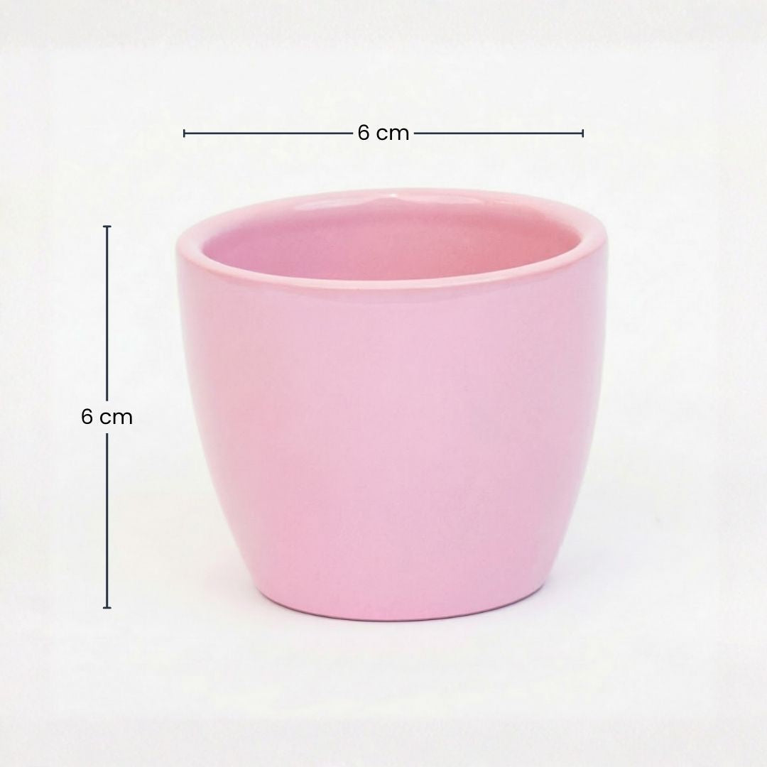 Pastellrosa - Mini Plant Pot - Boule Pot Light Pink - Ø 6 Cm ↑ 6 Cm