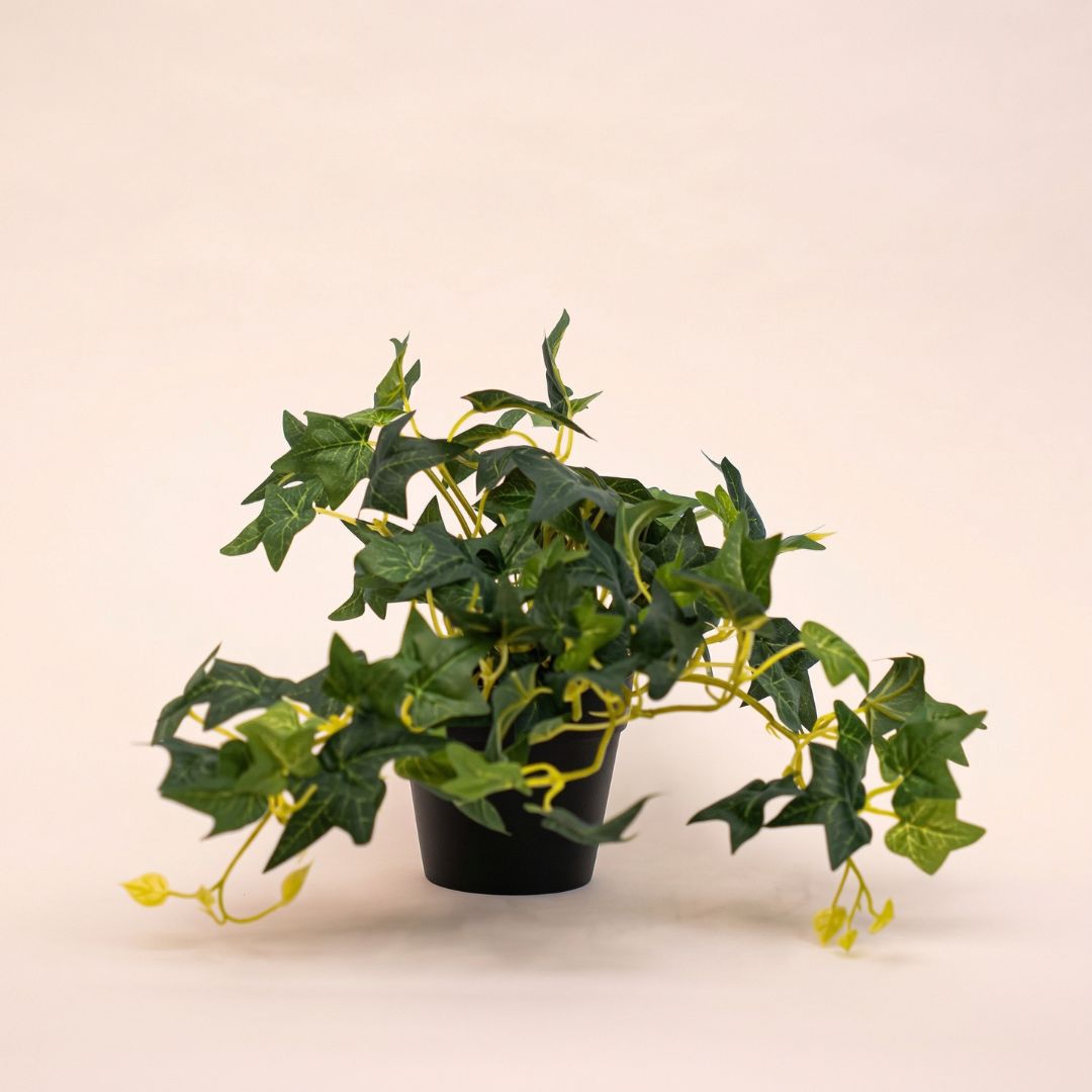 Ivy Hedera - Hanging Plant In Pot - Artificial Plant - Green - ↑ 19 Cm