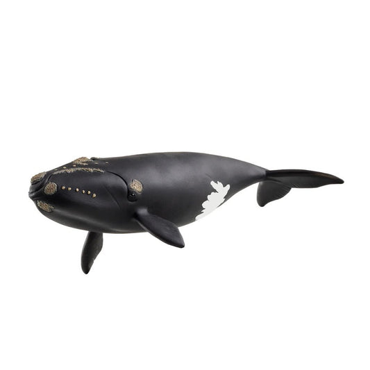 Schleich Noordkaper