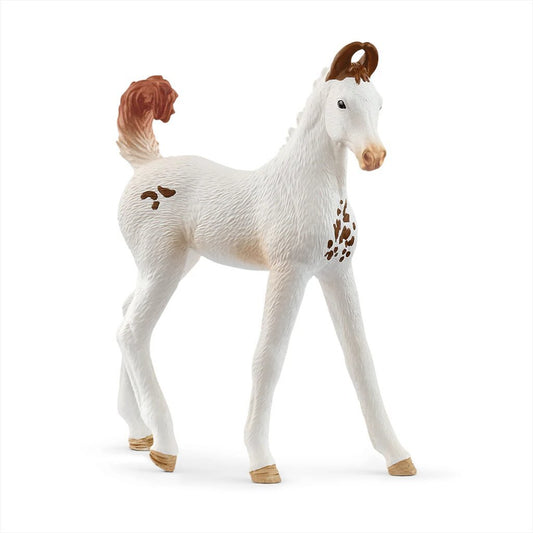 Schleich Marwari Veulen