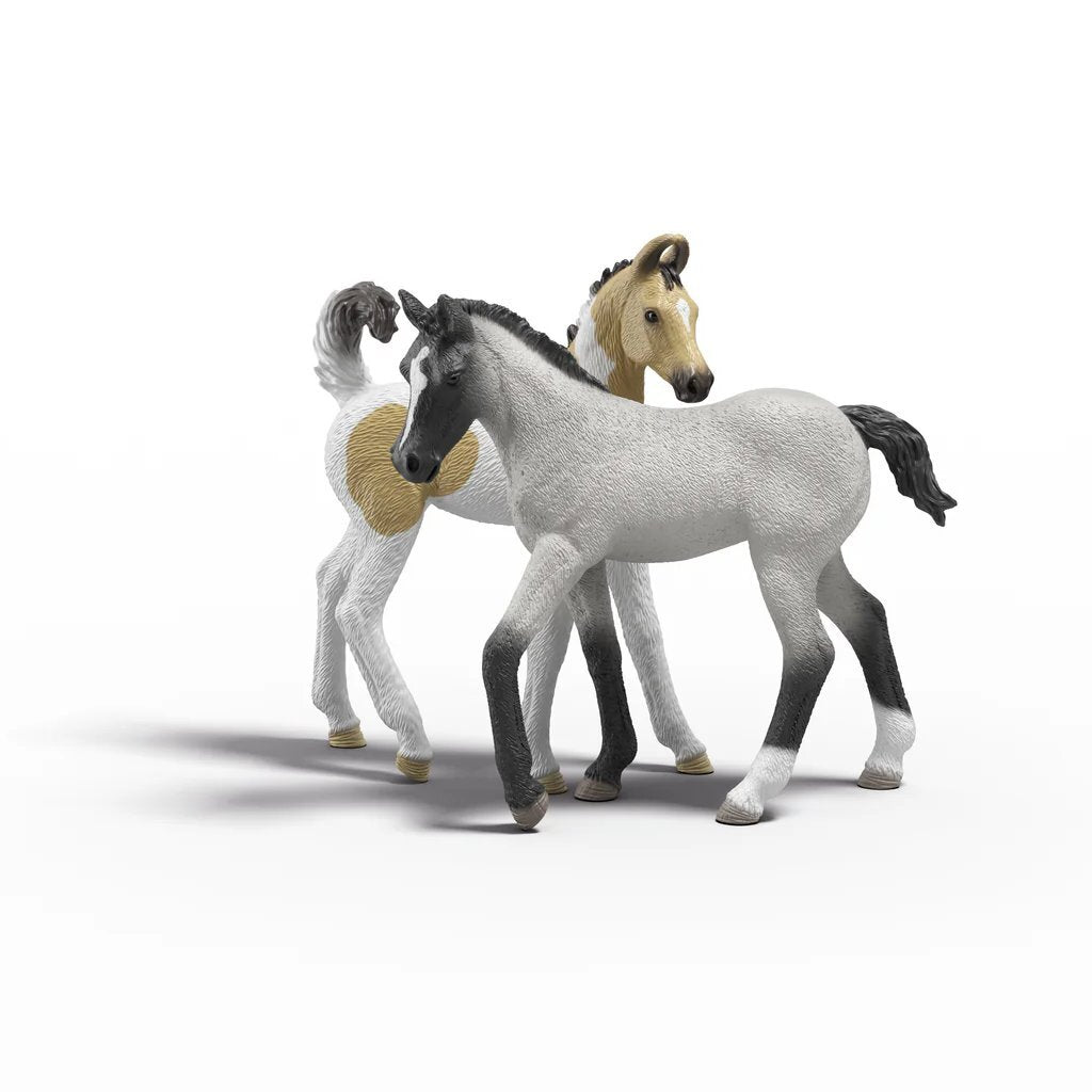 Schleich Horse Club Sarah'S Ehbo Set