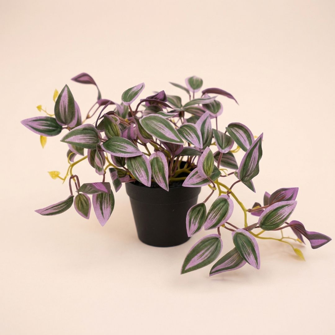 Tradescantia - Hanging Plant In Pot - Artificial Plant - Green/Purple - ↑ 19 Cm