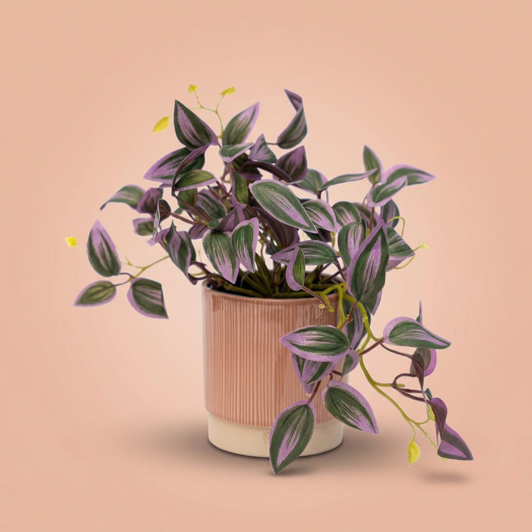 Tradescantia - Hanging Plant In Pot - Artificial Plant - Green/Purple - ↑ 19 Cm