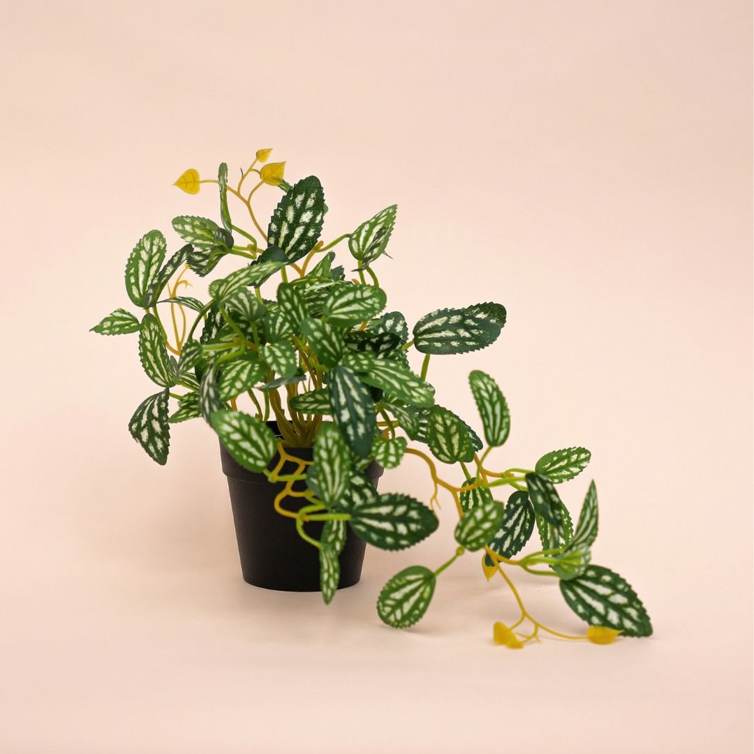 Pilea - Hanging Plant In Pot - Artificial Plant - Green/White - ↑ 19 Cm