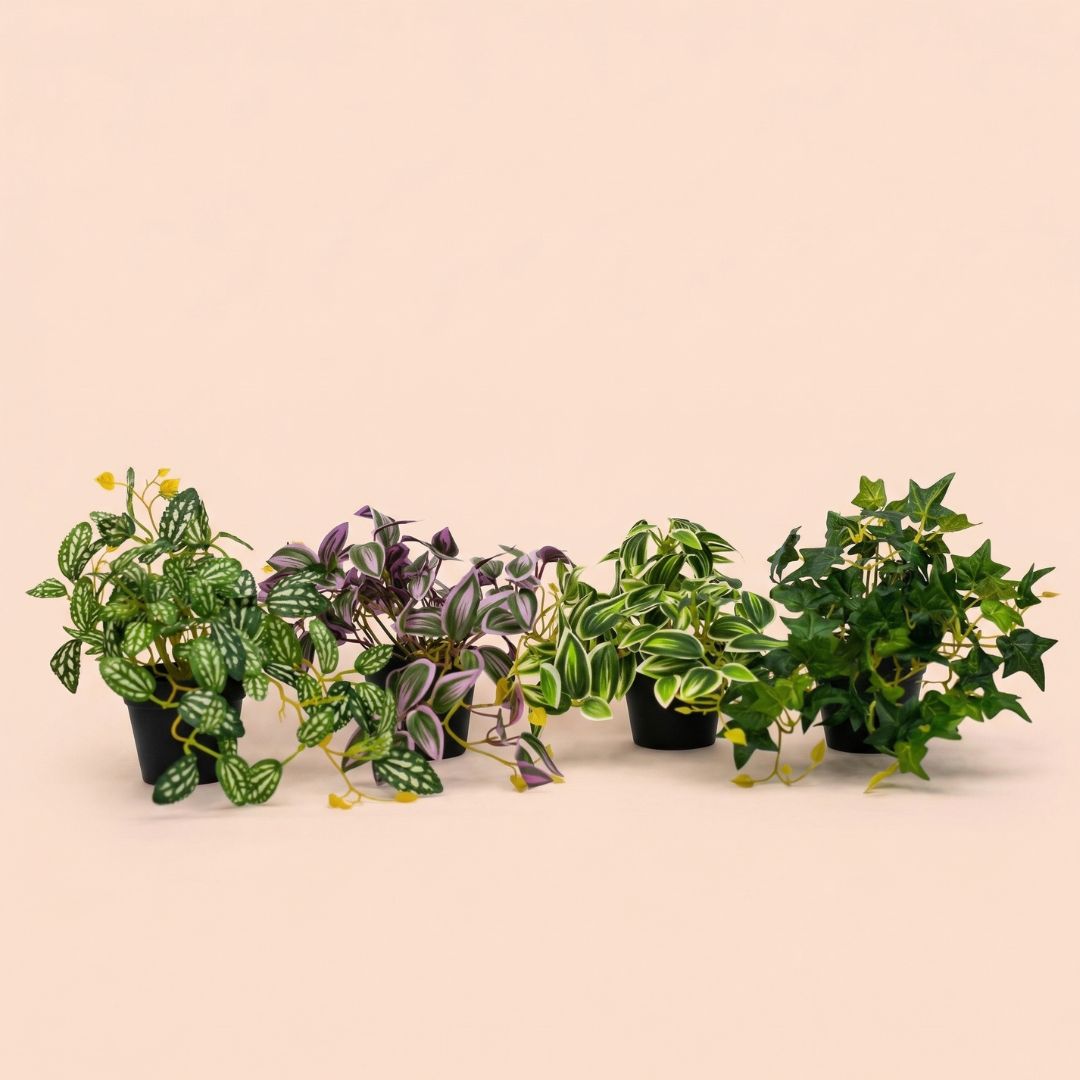 Pilea - Hanging Plant In Pot - Artificial Plant - Green/White - ↑ 19 Cm