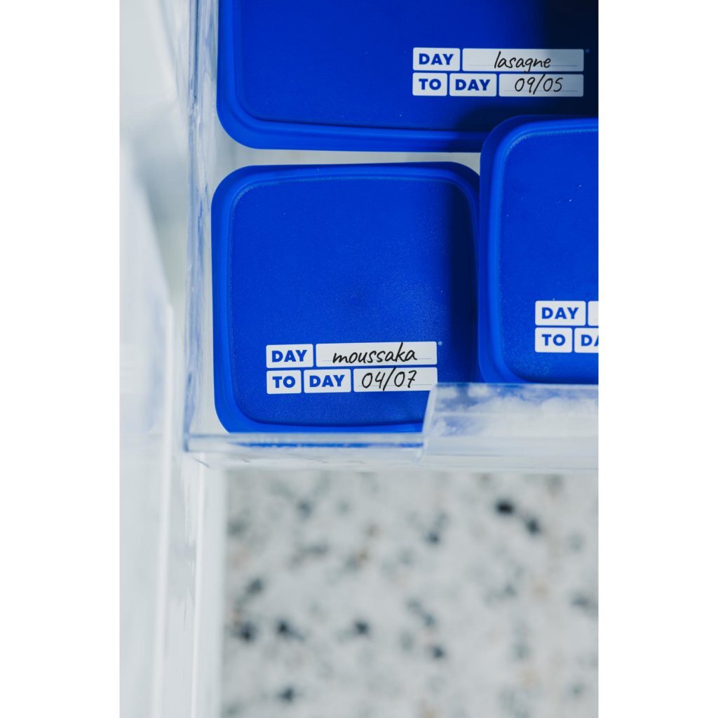 Day To Day Alaska Diepvriesbakken 6X200 Ml Blauw/Wit