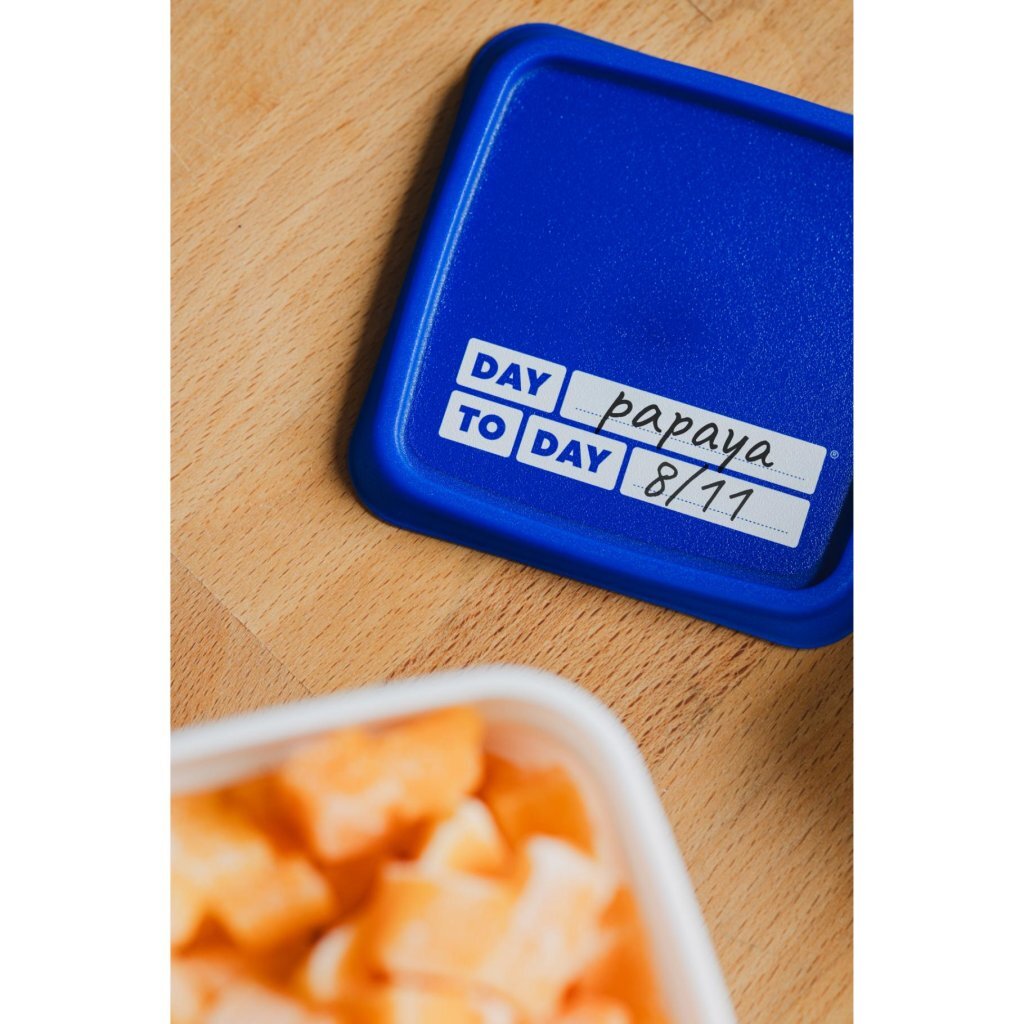 Day To Day Alaska Diepvriesbakken 3X1200 Ml Blauw/Wit