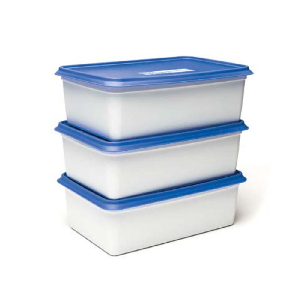 Day To Day Alaska Diepvriesbakken 3X2000 Ml Blauw/Wit