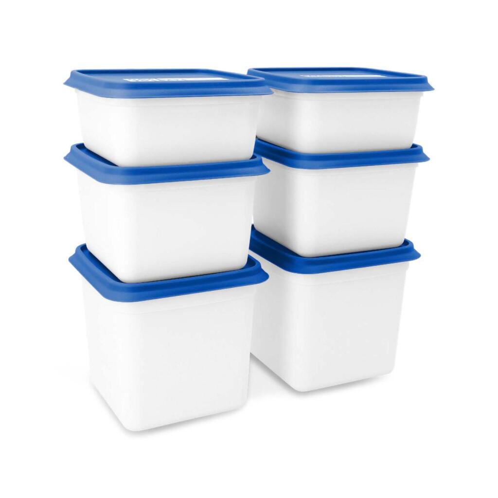 Day To Day Alaska Diepvriesbakken 2X750 Ml 2X1200 Ml Blauw/Wit