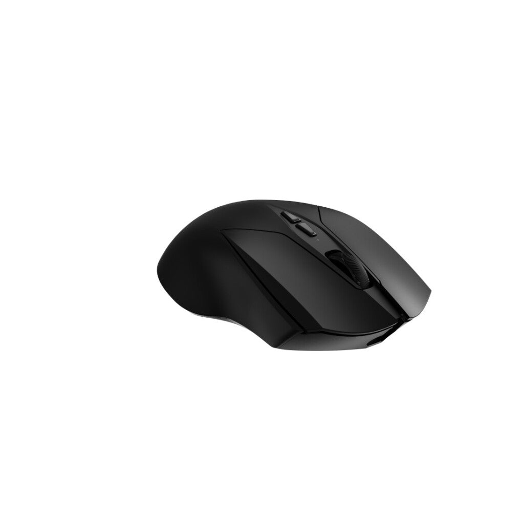 Rapoo V20Pro Draadloze Dual-Mode Gaming Muis Zwart