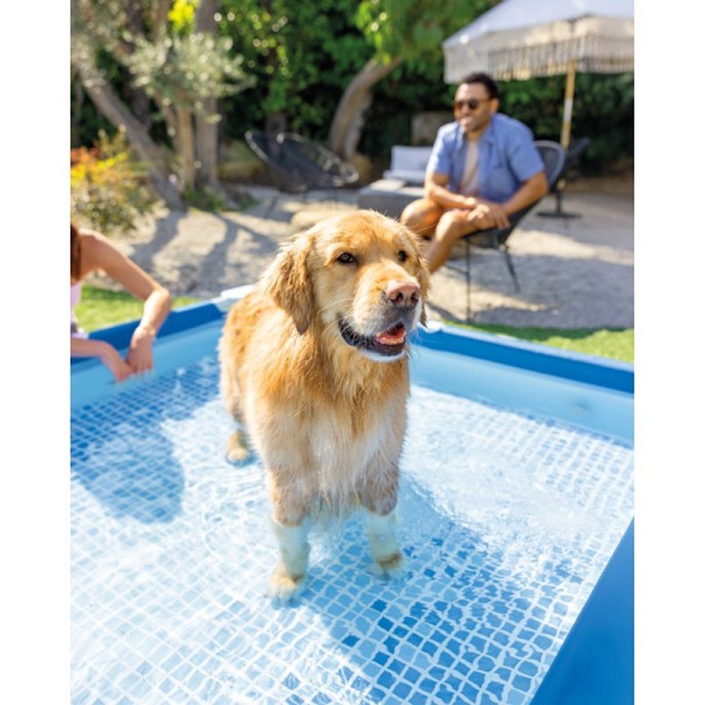 Intex 48402Gn Frame Honden Zwembad 150X150X30 Cm Blauw