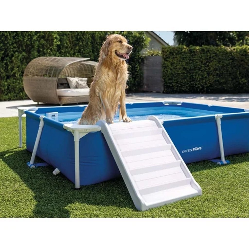 Intex 48404Gn Frame Hondenzwembad 229X152 Cm Blauw/Wit