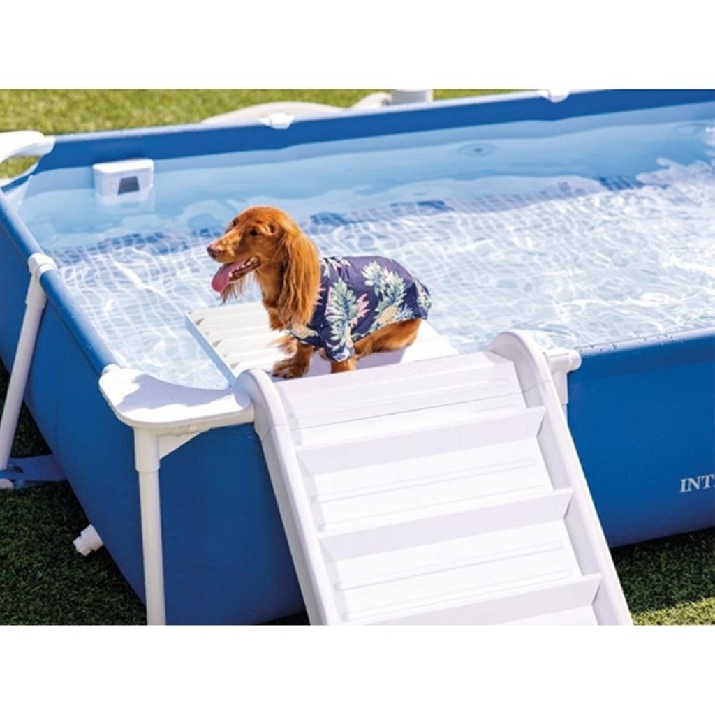 Intex 48404Gn Frame Hondenzwembad 229X152 Cm Blauw/Wit